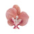 Women's Elegant Streetwear Floral Plastic Resin Hair Clip