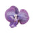 Women's Elegant Streetwear Floral Plastic Resin Hair Clip