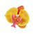 Women's Elegant Streetwear Floral Plastic Resin Hair Clip