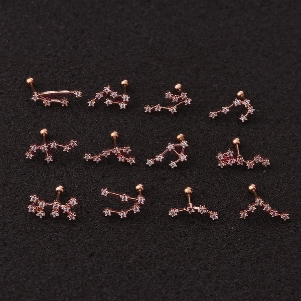 Ear Cartilage Rings & Studs Fashion Constellation 316L Stainless Steel  Copper Inlay Zircon