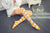 Women's Fashion Stripe Polyester Over The Knee Socks 2 Pieces