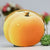 Women's Fruit Plush Zipper Coin Purses