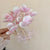 Women's IG Style Korean Style Flower Arylic Plating Hair Claws