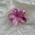 Women's IG Style Korean Style Flower Plastic Hair Claws