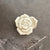 Women's IG Style Korean Style Rose Plastic Stoving Varnish Hair Clip