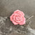 Women's IG Style Korean Style Rose Plastic Stoving Varnish Hair Clip