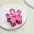 Women's IG Style Sweet Flower Resin Hair Claws