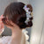 Women's Japanese Style Simple Style Classic Style Flower Butterfly Plastic Hair Claws