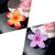 Women's Lady Sweet Simple Style Flower Plastic Hair Claws