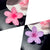 Women's Lady Sweet Simple Style Flower Plastic Hair Claws