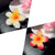 Women's Lady Sweet Simple Style Flower Plastic Hair Claws