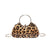 Women's Medium Pu Leather Leopard Streetwear Square Lock Clasp Crossbody Bag