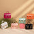 Women's Mini Spring&summer Pvc Fashion Jelly Bag