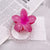 Women's Pastoral Flower Plastic Stoving Varnish Hair Claws