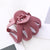 Women's Retro Geometric Plastic Stoving Varnish Hair Claws