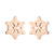 Women's Simple Style Animal Snowflake Stainless Steel No Inlaid Ear Studs Stainless Steel Earrings