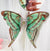 Women's Simple Style Butterfly Arylic Hair Claws