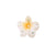 Women's Simple Style Classic Style Flower Plastic Resin Stoving Varnish Hair Claws