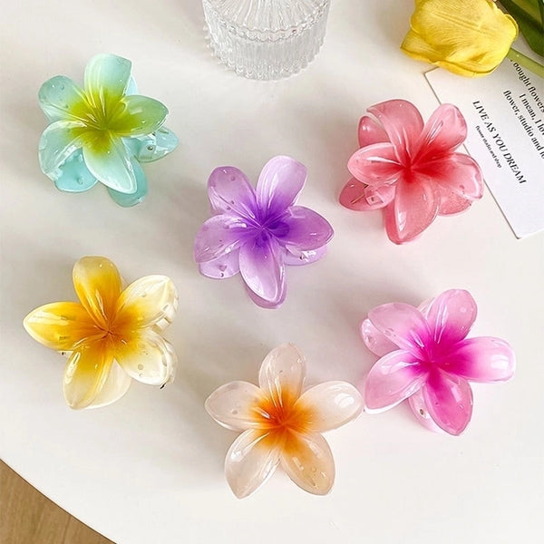 Women's Simple Style Flower Plastic Resin Hair Claws