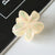 Women's Simple Style Flower Plastic Resin Hair Claws