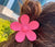 Women's Simple Style Flower Plastic Resin Hollow Out Hair Claws