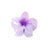 Women's Simple Style Flower Plastic Resin Stoving Varnish Hair Claws