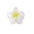 Women's Simple Style Flower Plastic Resin Stoving Varnish Hair Claws