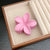 Women's Simple Style Solid Color Flower Resin Hair Clip