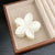 Women's Simple Style Solid Color Flower Resin Hair Clip