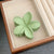 Women's Simple Style Solid Color Flower Resin Hair Clip