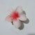 Women's Sweet Flower Arylic Hair Claws