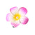 Women's Sweet Flower Plastic Metal Inlay Pearl Hair Clip