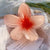 Women's Sweet Flower Plastic Resin Hair Clip