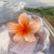 Women's Sweet Flower Plastic Resin Hair Clip