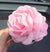 Women's Sweet Korean Style Rose Flower Cloth Hair Claws