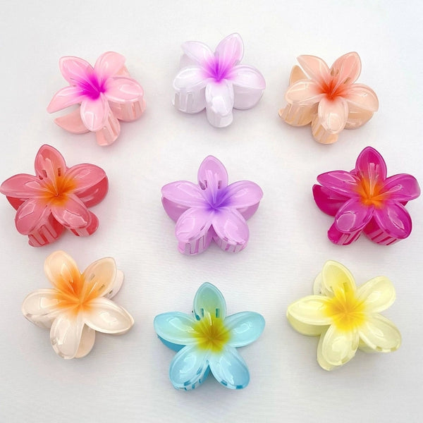 Women's Sweet Simple Style Artistic Flower Plastic Hair Claws