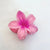 Women's Sweet Simple Style Artistic Flower Plastic Hair Claws