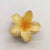 Women's Sweet Simple Style Artistic Flower Plastic Hair Claws