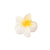 Women's Sweet Simple Style Flower Plastic Hair Clip