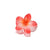 Women's Sweet Simple Style Flower Plastic Hair Clip