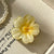 Women's Sweet Simple Style Flower Plastic Hair Clip