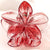 Women's Sweet Simple Style Flower Plastic Hair Clip