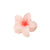 Women's Sweet Simple Style Flower Plastic Hair Clip