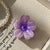 Women's Sweet Simple Style Flower Plastic Hair Clip