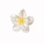 Women's Sweet Simple Style Flower Plastic Hair Clip