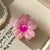 Women's Sweet Simple Style Flower Plastic Hair Clip