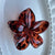 Women's Sweet Simple Style Flower Plastic Hair Clip