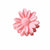 Women's Sweet Simple Style Flower Plastic Stoving Varnish Hair Claws