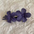 Women's Sweet Simple Style Flower Resin Hair Clip