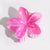 Women's Vacation Minimalist Flower Plastic Hair Claws